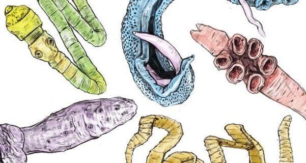 Parasites